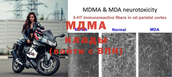 мяу мяу мука Алексеевка